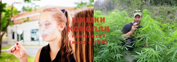спайс Елизово