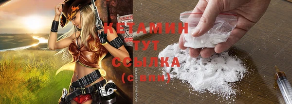трава Ельня