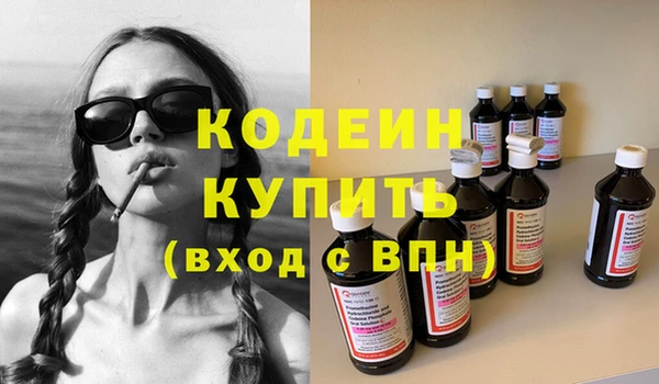 трава Ельня
