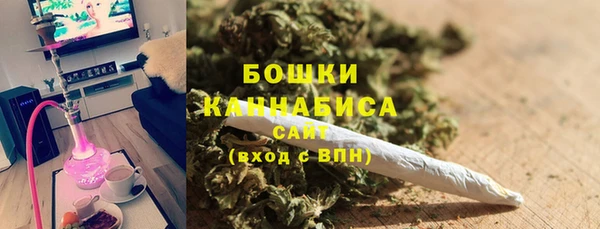 трава Ельня